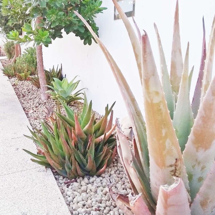 Argila Expandida “Leca”