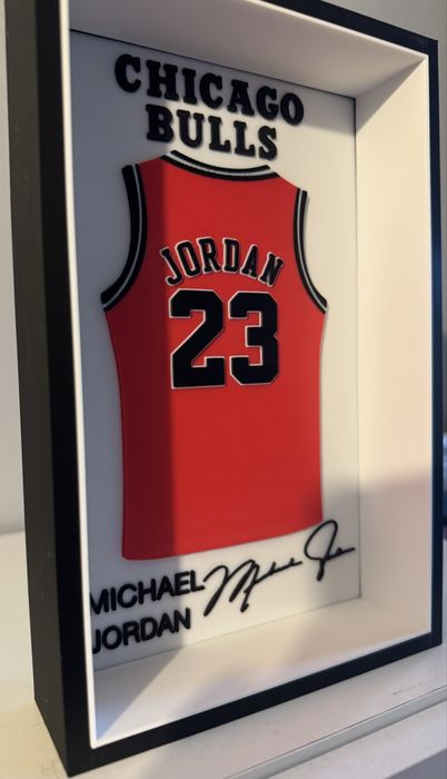 Michael Jordan x Chicago Bulls