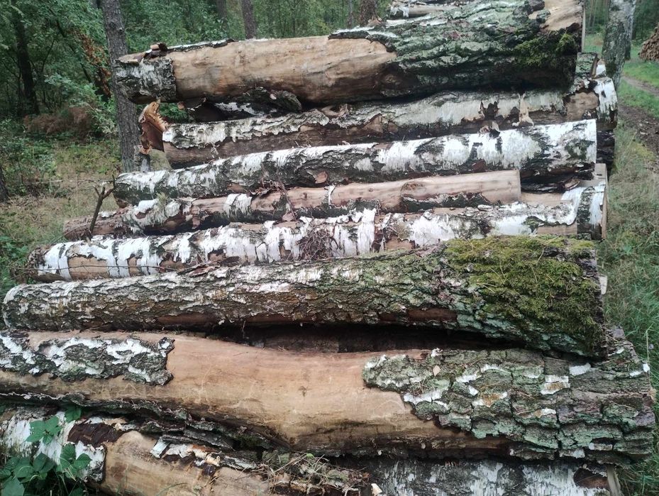 Drewno kominkowe Dębina/ Brzoza