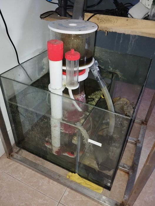 Aquário Agua Salgada 60x60x60 completo