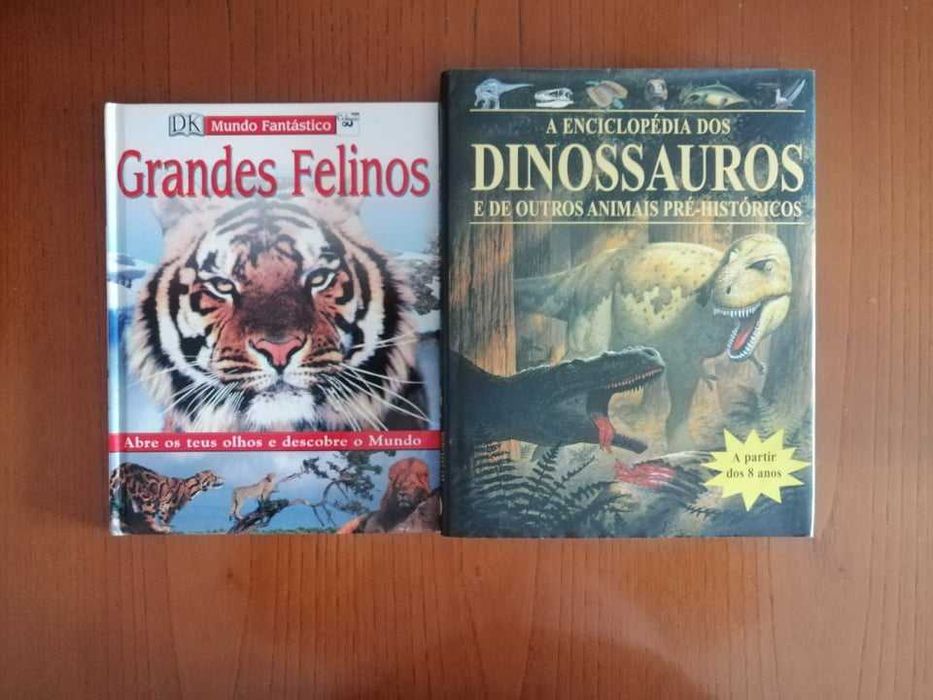 Livros juvenis | Leve 3, pague 2