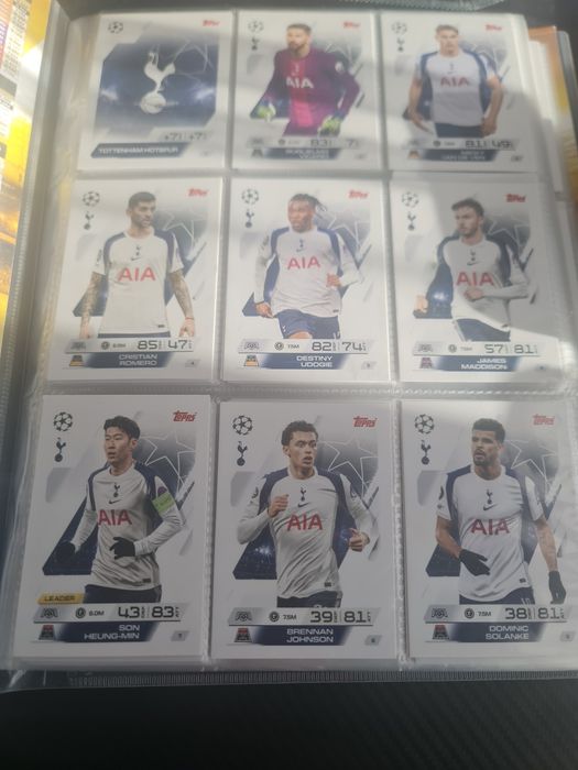 Drużyna Tottenham 9 kart