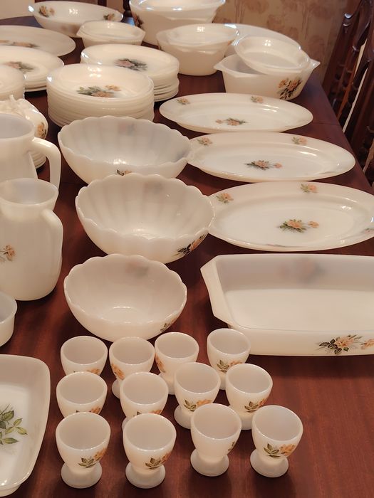 Serviço de Pyrex Arcopal tema das Rosas