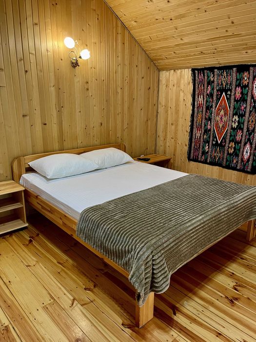 Відпочинок в Карпатах зі  сніданками /Подобово Буковель/Вид на гори,лі