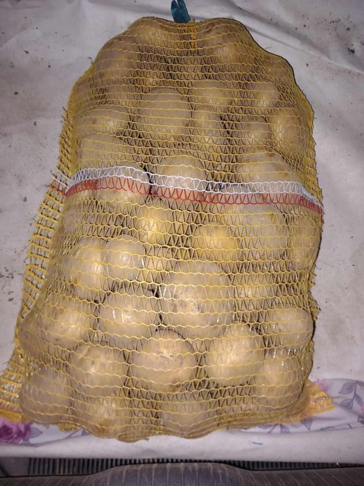 Ziemniaki drobne Bryza (Poznań)