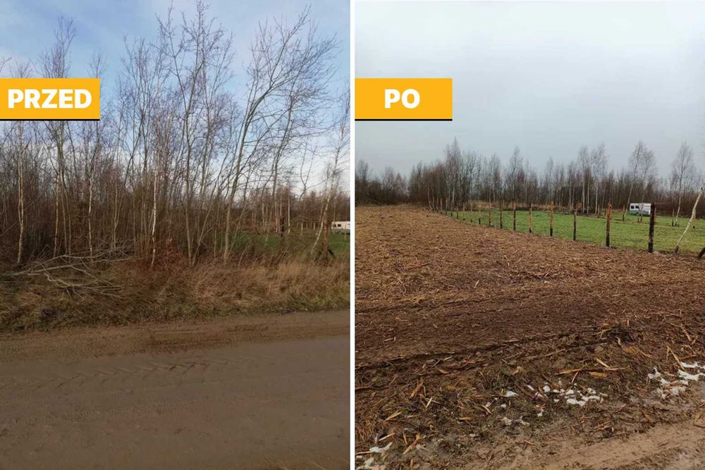 Porządkowanie Działek, Wycinka Drzew, Karczowanie, Mulczowanie terenu