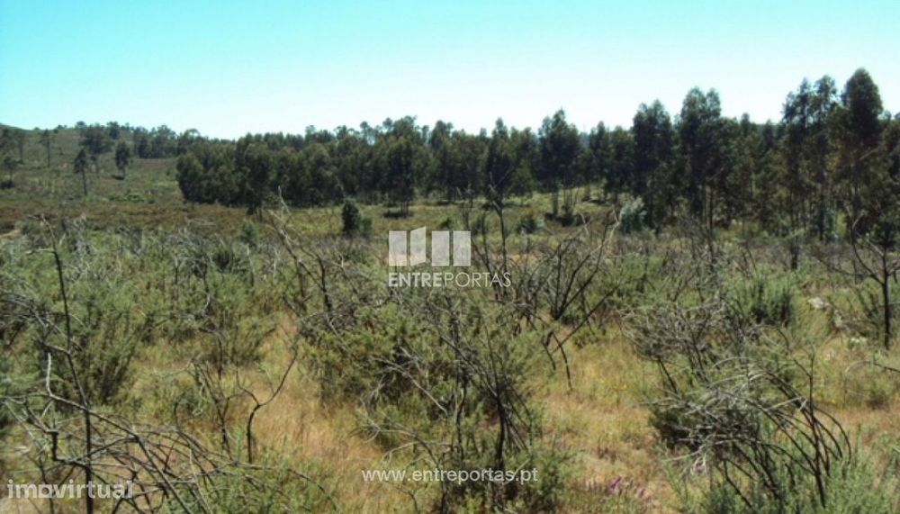 Land for Sale, Lustosa, Lousada