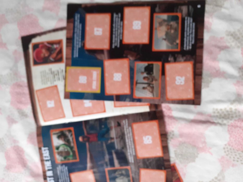 Caderneta Netflix One Piece com +/- 60 cromos ja colados e 1 repetido (tem uma página solta)