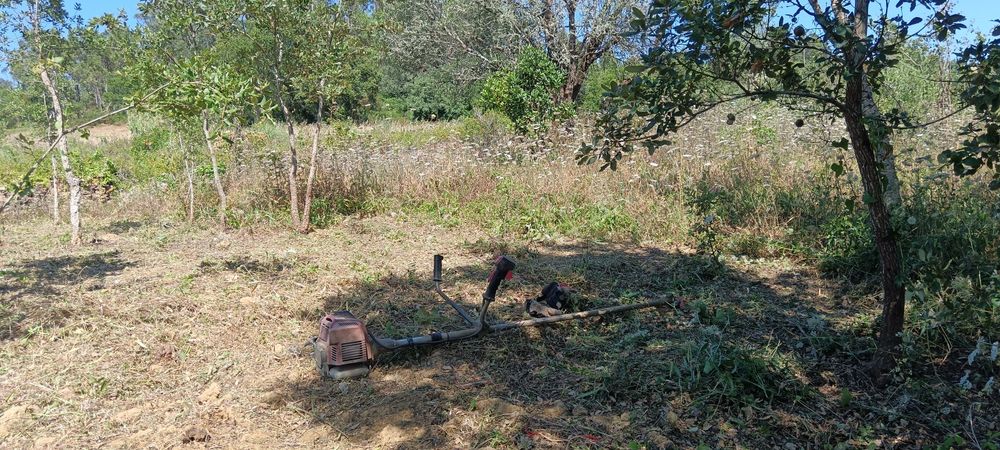 Limpeza de terreno