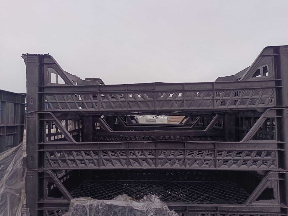 Skrzynka jednorazowa owoce warzywa pomidor ogórek