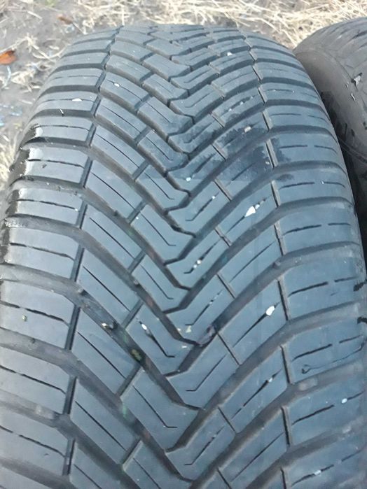 Opony całoroczne 205/60/16 96H Continental All Season Contact