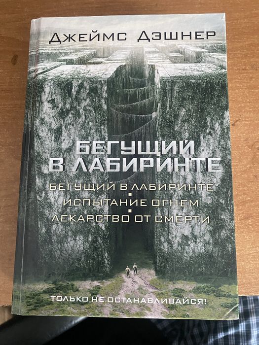 Книга бегущий в лабиринте