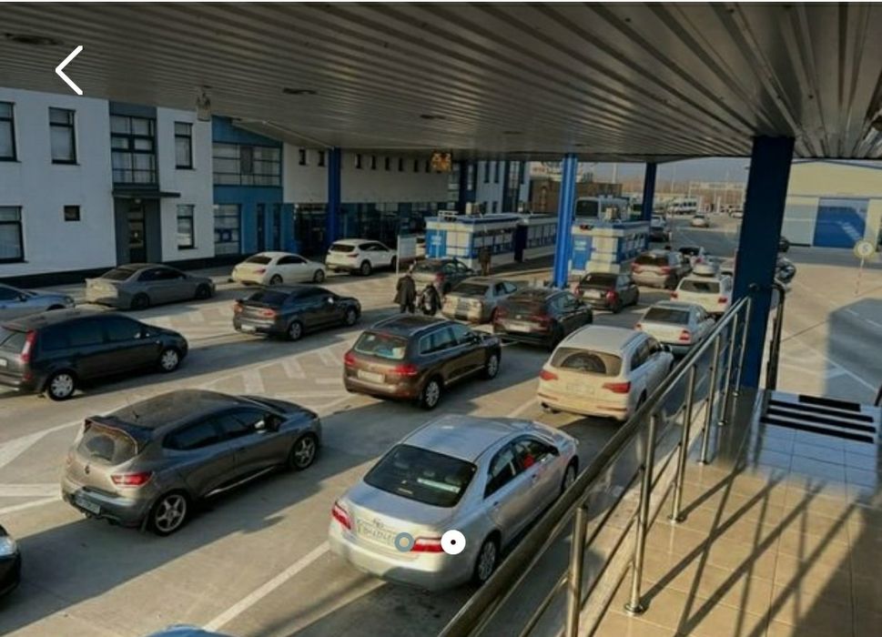 Перевозка кошек и собак через границу и по территории Украины