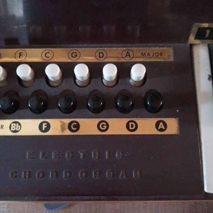 Organy elektryczne
