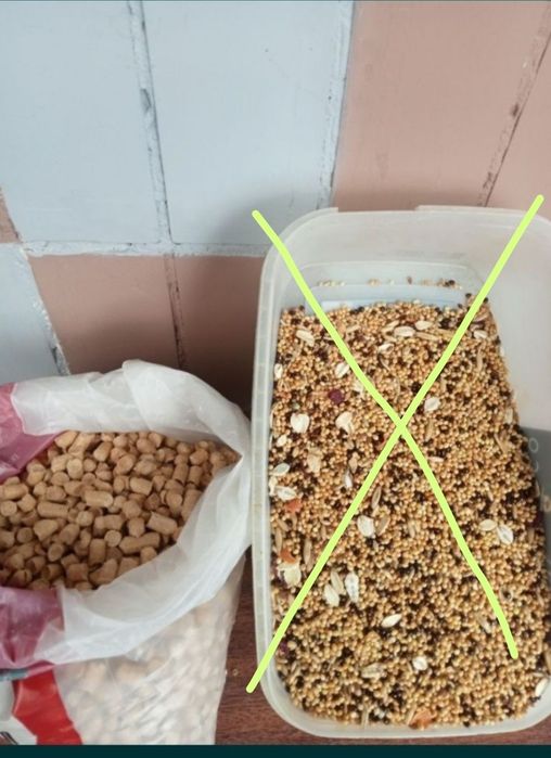 Продам підстилку древесную для папуги