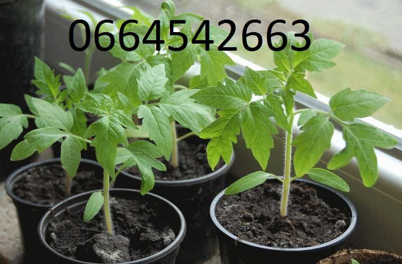 Навоз органічне добриво