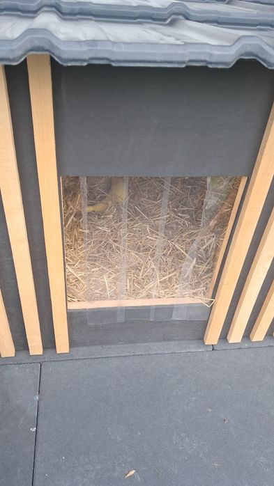 Nowoczesna buda dla dużego psa