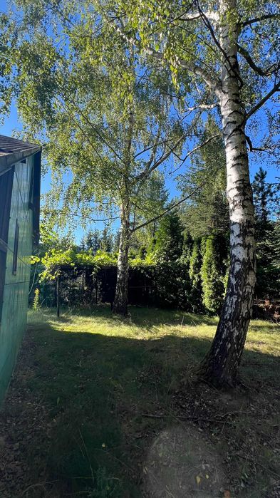 SPRZEDAM DZIAŁKĘ ROD Grochowa 346 m² | woda + prąd