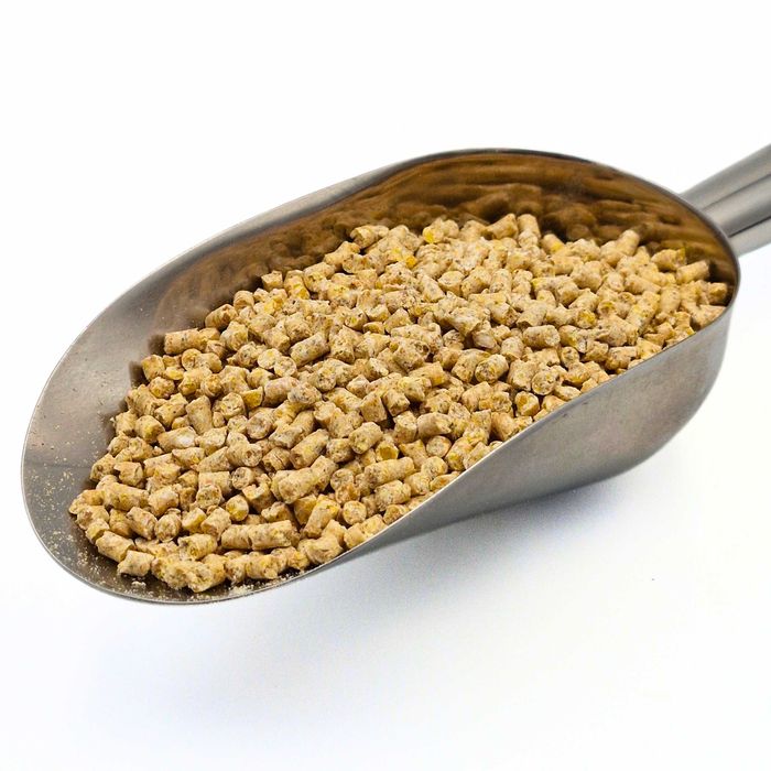 Pasza dla kurcząt DKM-1 w formie KRUSZONKI 25kg KOJPASZ