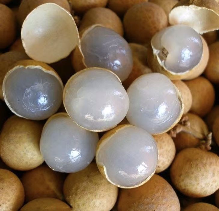 fruta Longan seca