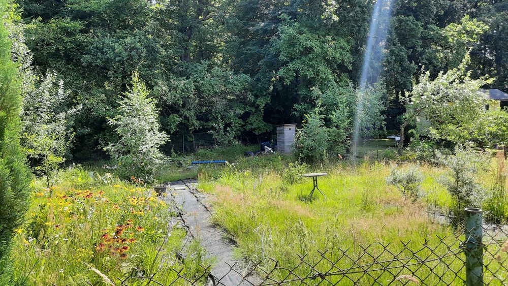 ROD „Słoneczne Wzgórze” przy lesie | 432 m² | Las | Prąd i woda | Matarnia