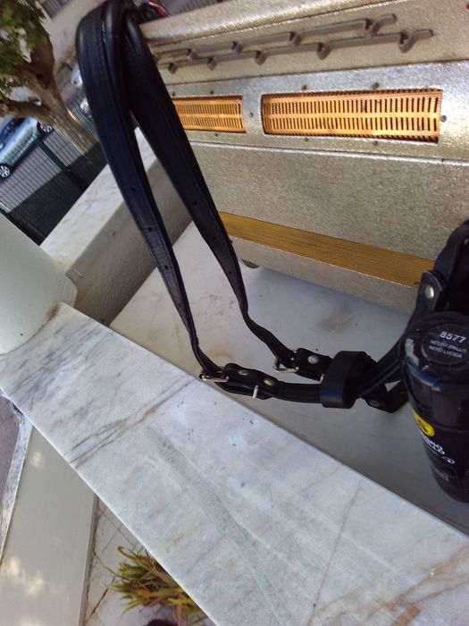 Fratelli Crosio Acordeão Italiano 3a voz- botões -  Excelente Estado com correias novas