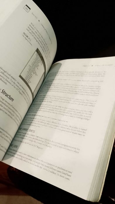 Visual C++5 Developer's Guide - David Bennet