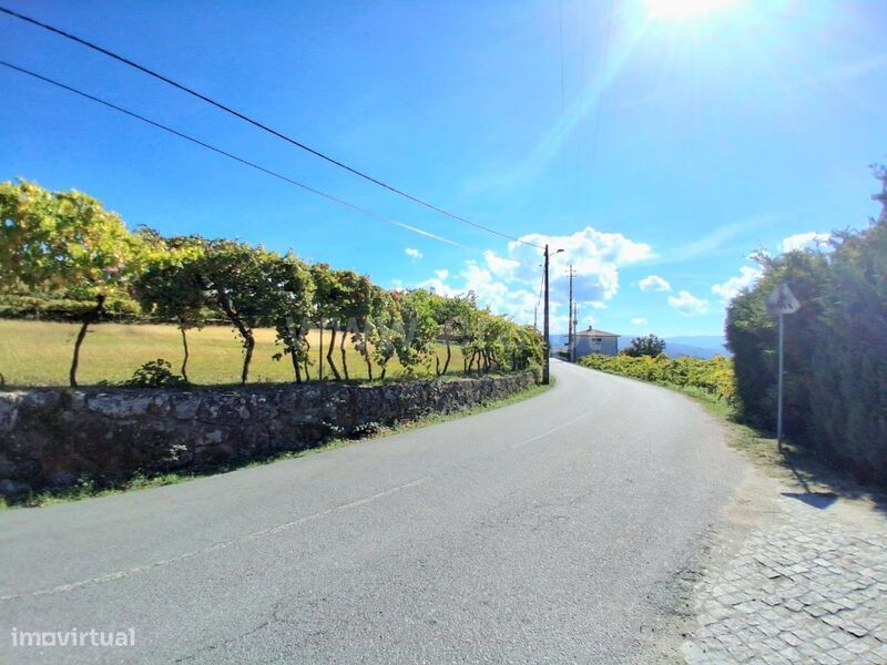 Terreno Rústico / Baião, Gove