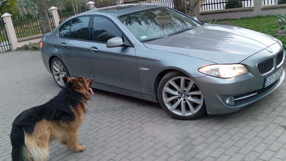 BMW f10 535i 306