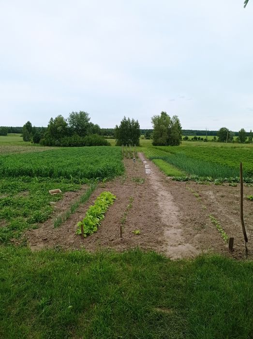 Будинок по трасі Чернігів-Київ в селі Серединка.ЗРУЧНОСТІ. Зем. 2га.