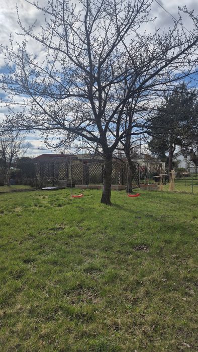 Działka ROD "Cicha Dolina "Stabłowice  Wrocław