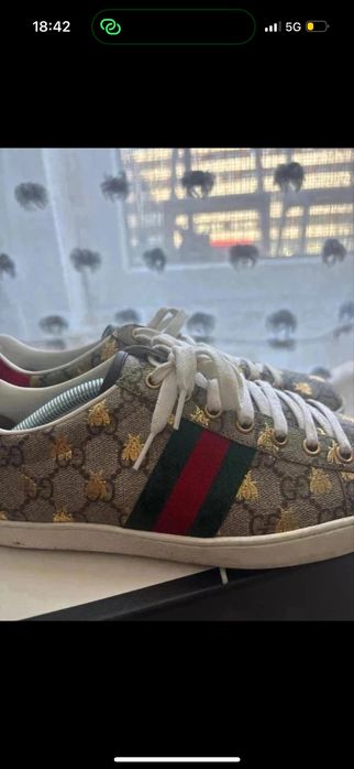 Tranpki gucci ace