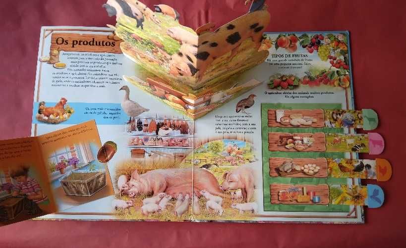 Livro Infantil "A Quinta" Coleção Pop-Ups Fantásticos