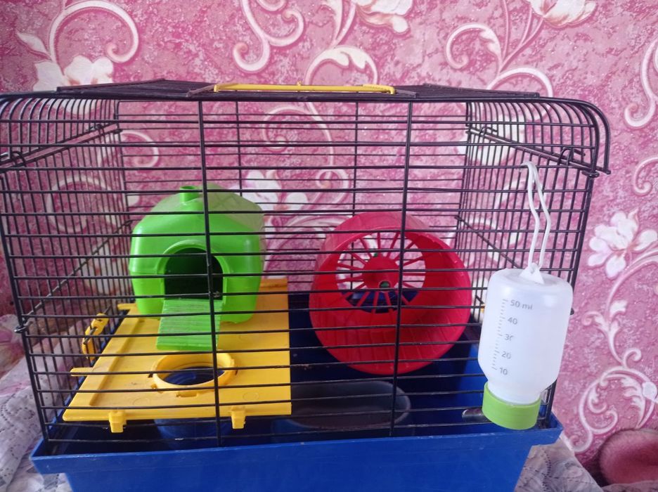 Приладдя для гризунів