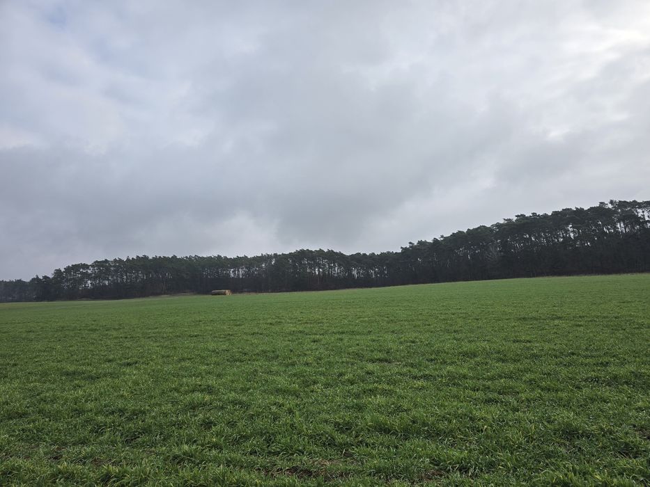 Sprzedam działki budowlane z warunkami zabudowy - Więcej