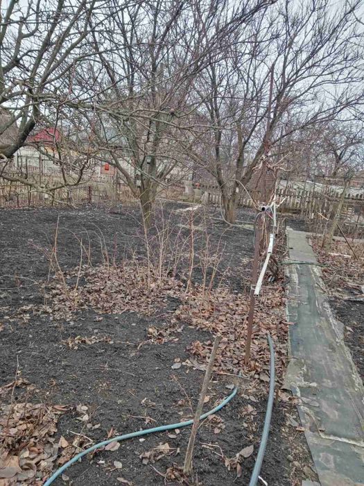 Продаю садовотческое общество Західне