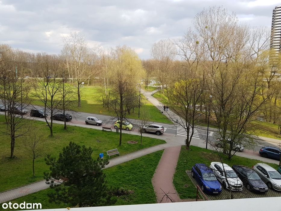 4 pokojowe mieszkanie na Osiedlu Tysiąclecia