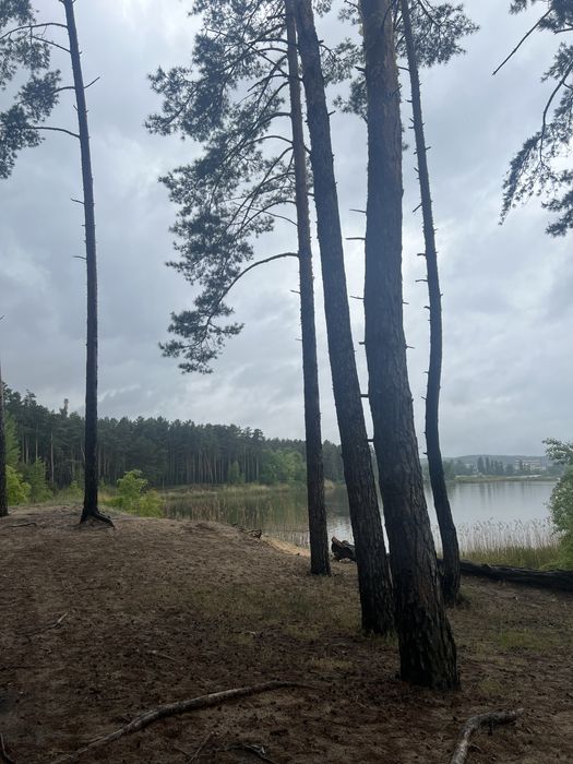Продажа участка 108соток Вода Лес Таценки/земельна ділянка Ліс Вода