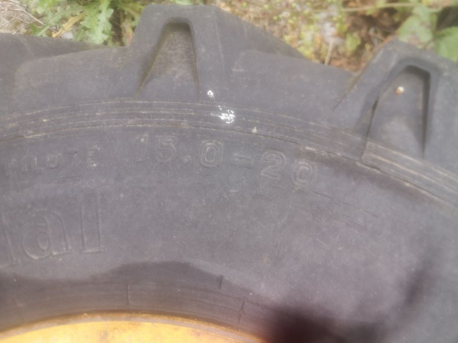 Pneu agricola com jante