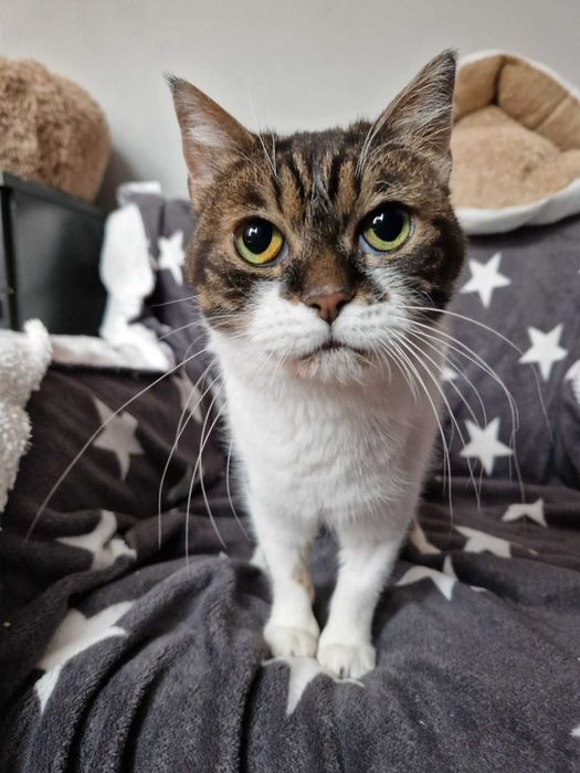 Dama Grochówka szuka rezydencji na zawsze