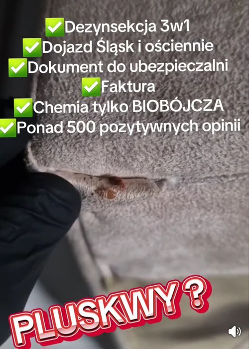 Pluskwy, HOTEL, zwalczanie pluskiew, KARALUCHY, odpluskwianie hoteli