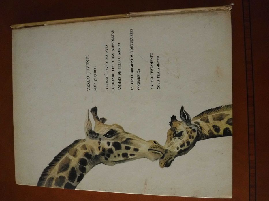 Animais de Todo o Mundo - Verbo Juvenil