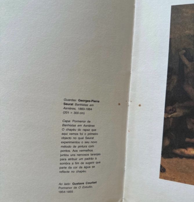 Livro a arte VERBO e como só a verbo sabia fazer livros assim
