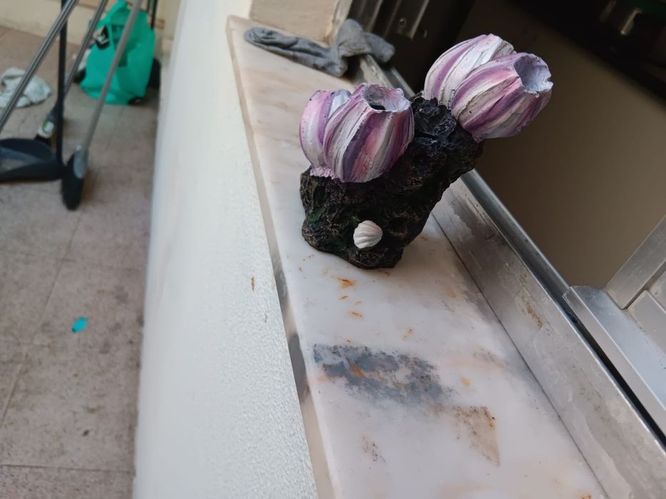 Decoração para aquario