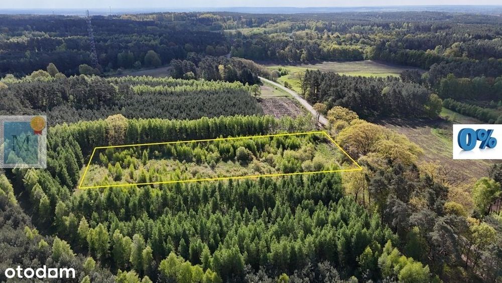 Działka,wieś Sterków,pod zabudowę 40ar,asfalt