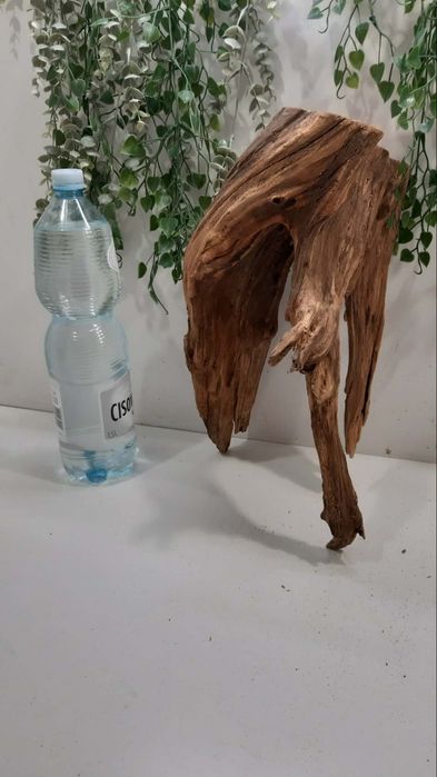 Korzeń do akwarium/terrarium