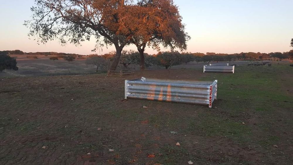 Comedouro  de raides para vacas