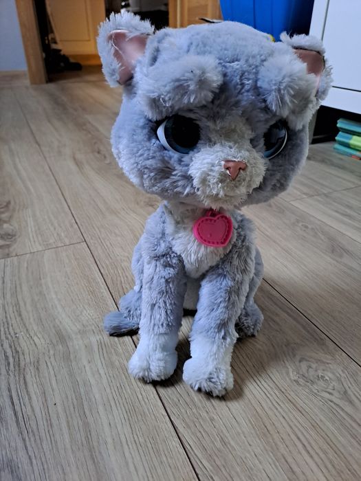 Kotek wydający dzwieki