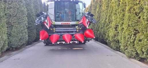 Heder do kukurydzy Capello Diamant 6 Rzędowa, Hydraulicznie Składana, Class Lexion, Tucano