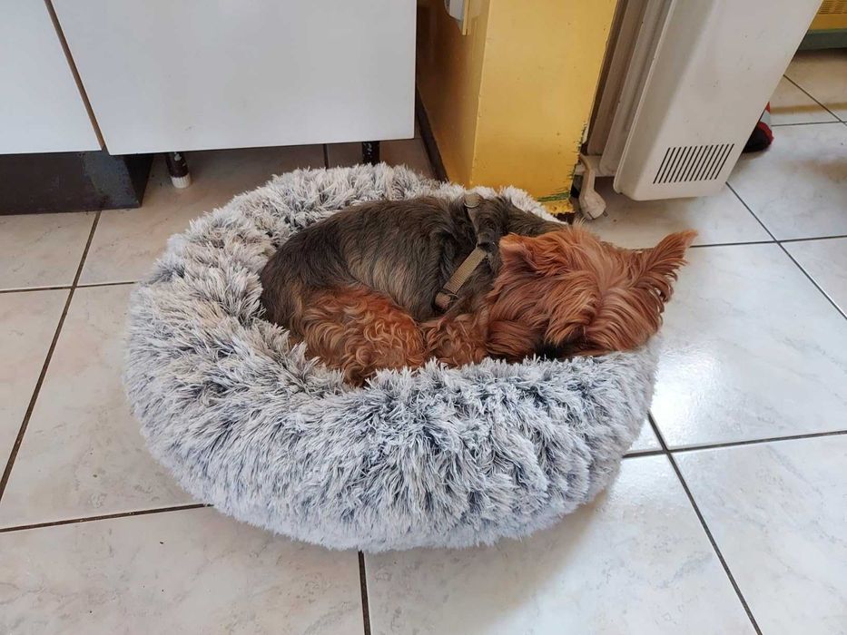 Legowisko Łóżko dla psa, kota miękkie szare
